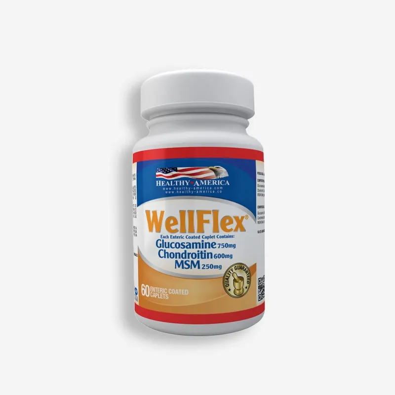 WELL FLEX GLUCOSAMINE 60 CAPSULAS - HEALTHY AMERICA